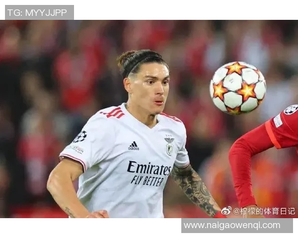 达尔文在足球界的崛起与成就揭秘