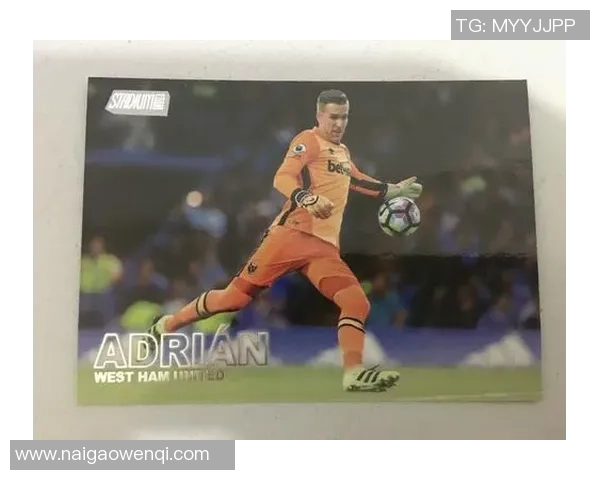 英超足球明星的女友们：她们的魅力与生活背后的故事揭秘